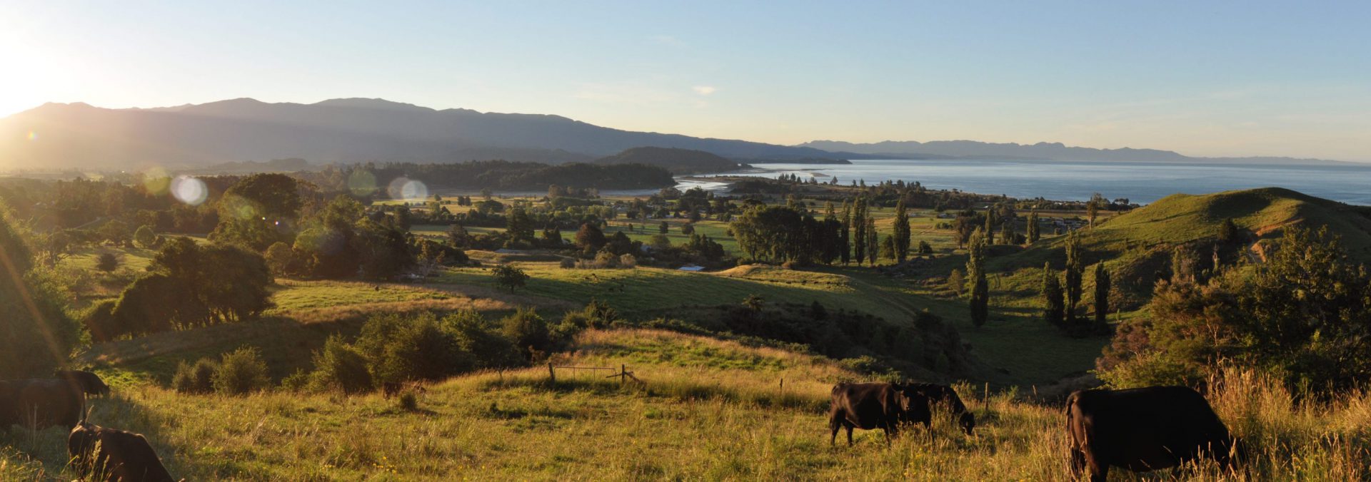 Ellis Creek Farm