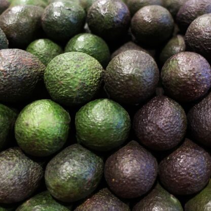 Avocados