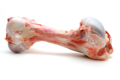 Beef Cannon Bone